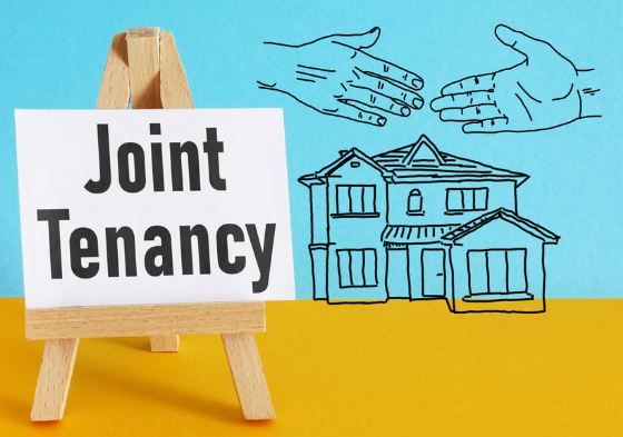Joint Tenancy: A Guide to Shared Ownership and Survivorship
