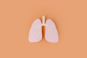 lungs