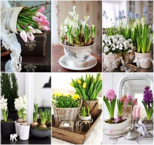 DIY Flower Arrangements