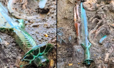 Unbelievable Sword From 3000 Years Ago Uncovered Intact!