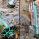 Unbelievable Sword From 3000 Years Ago Uncovered Intact!