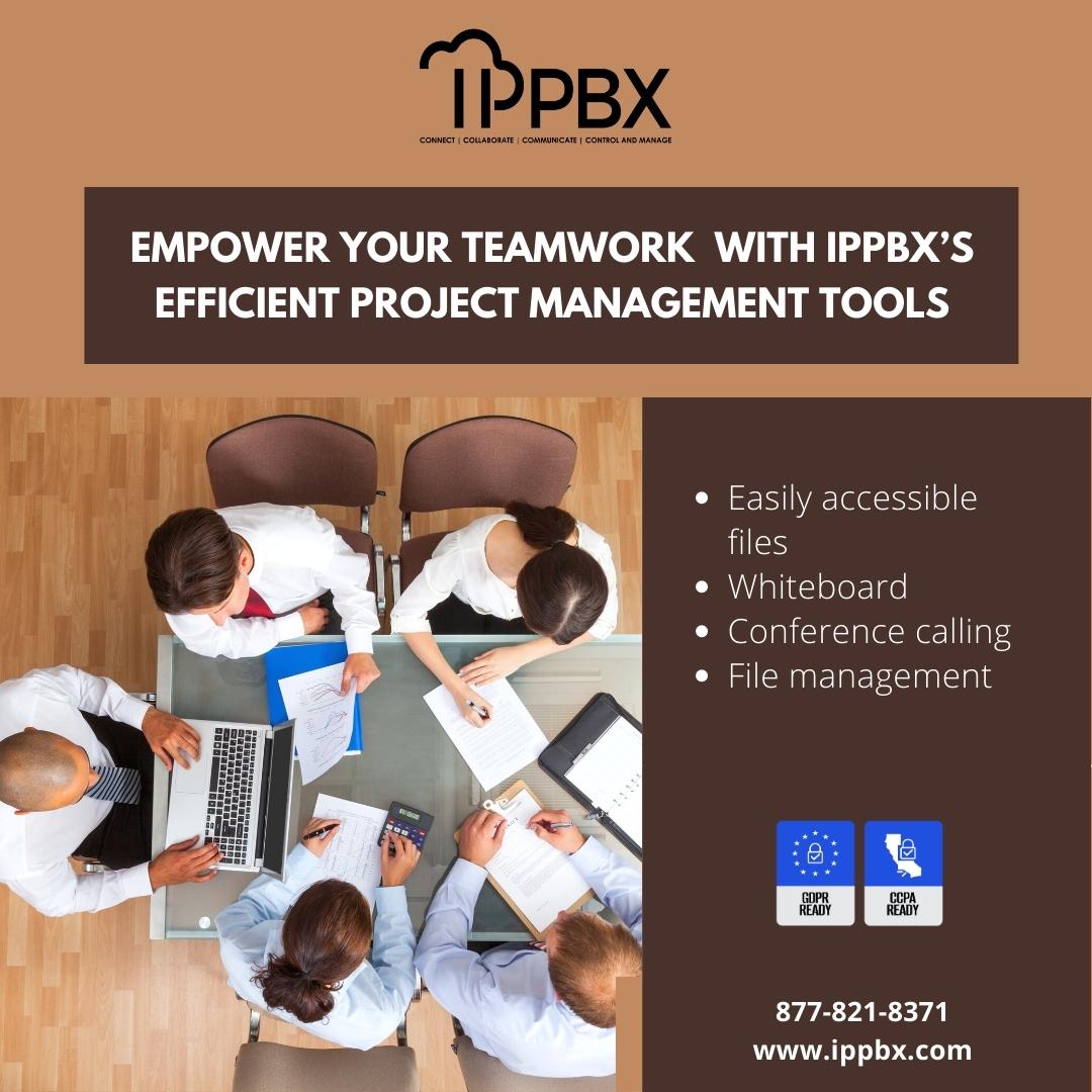 Empower Teamwork with PM Tool