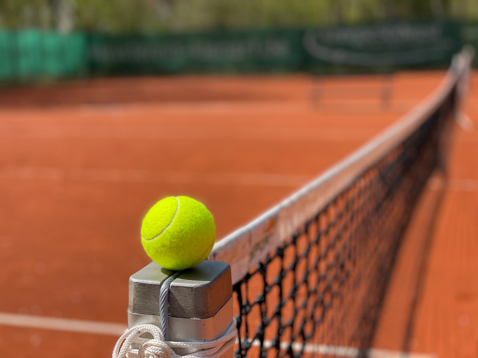 Samsonova tennis ball