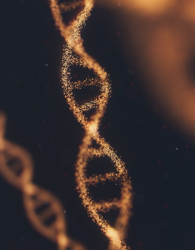 DNA