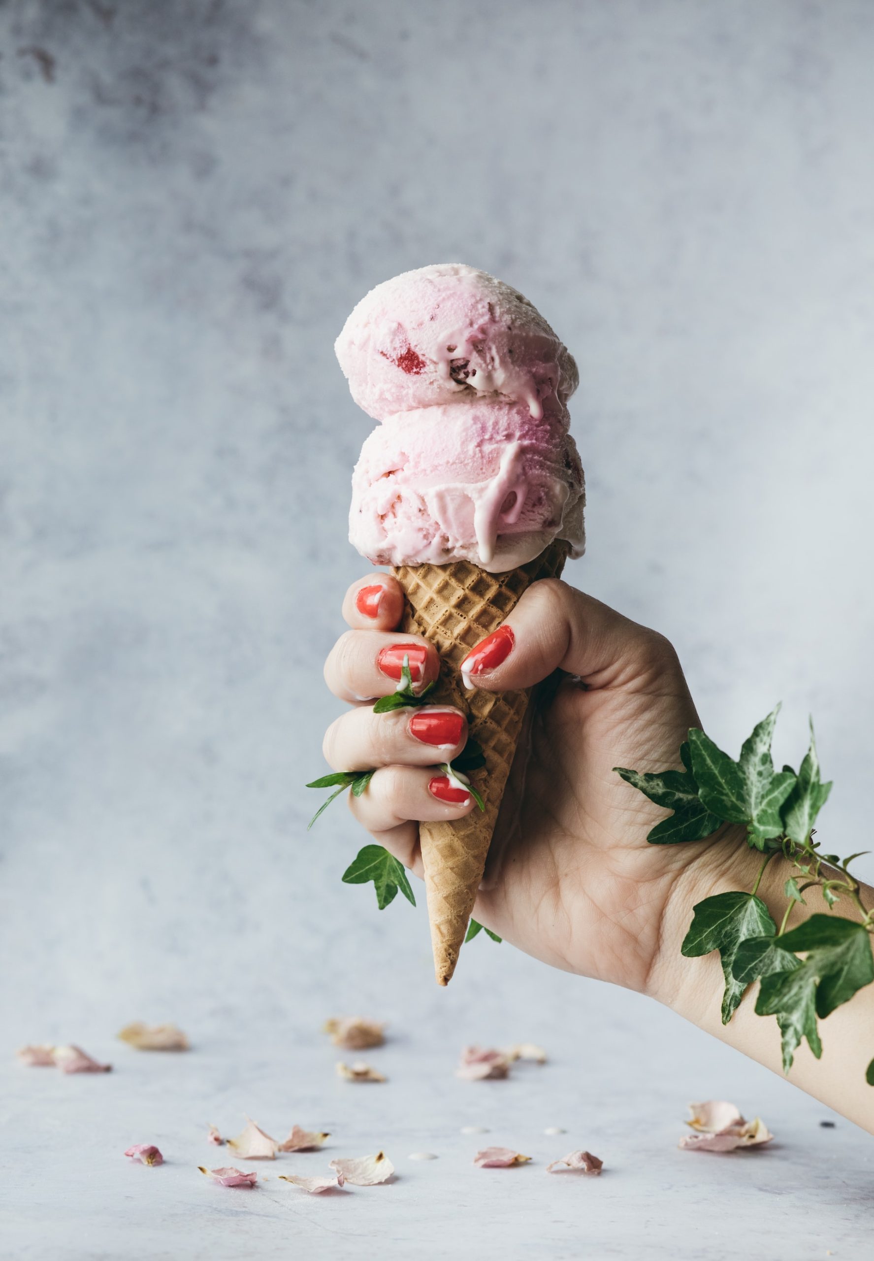 vegan ice cream