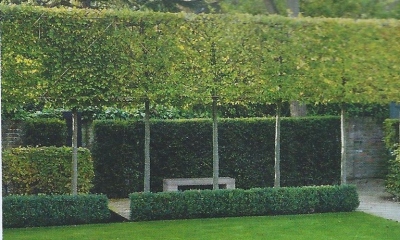 Transform Your Outdoors with Hedge Enclosures