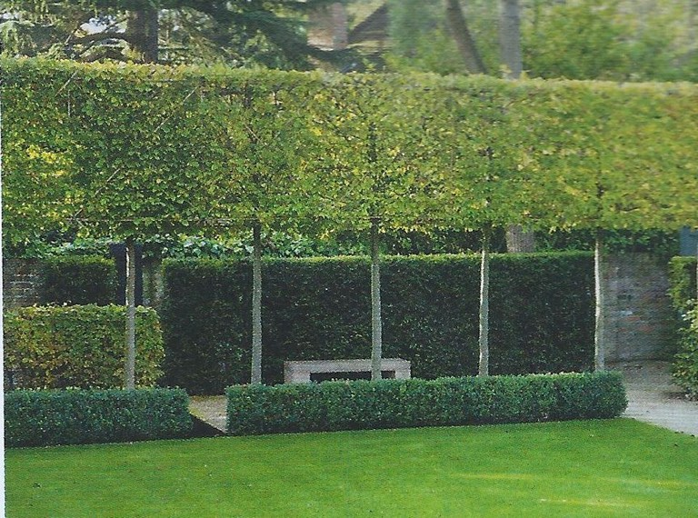 Transform Your Outdoors with Hedge Enclosures
