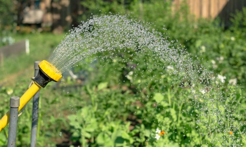 Garden Watering