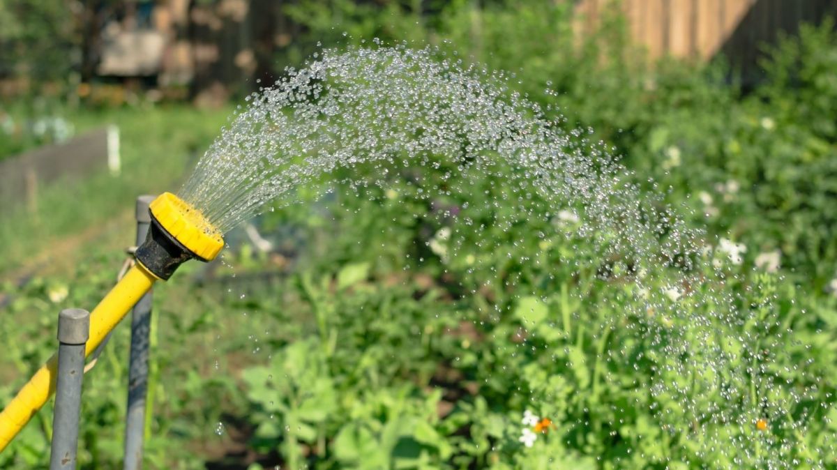 Garden Watering