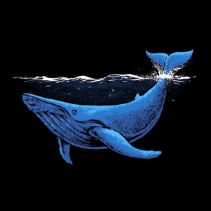 Whale's 