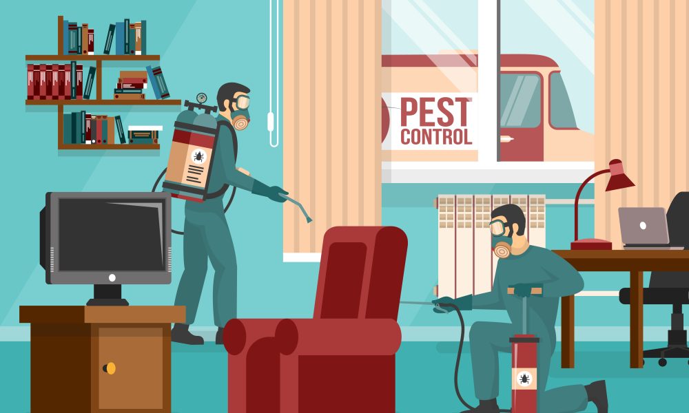 Bug Infestation in Your Apartment