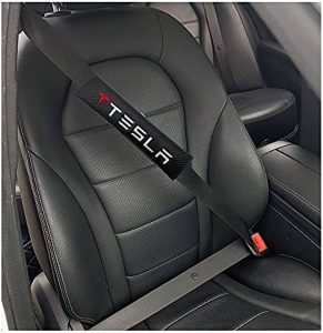 Tesla seat belt