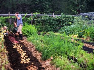 Garden Watering