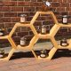 Hive to Shelf: Honey's