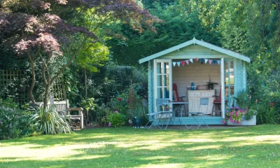 Heatwave Haven backyard