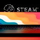 Steam Game