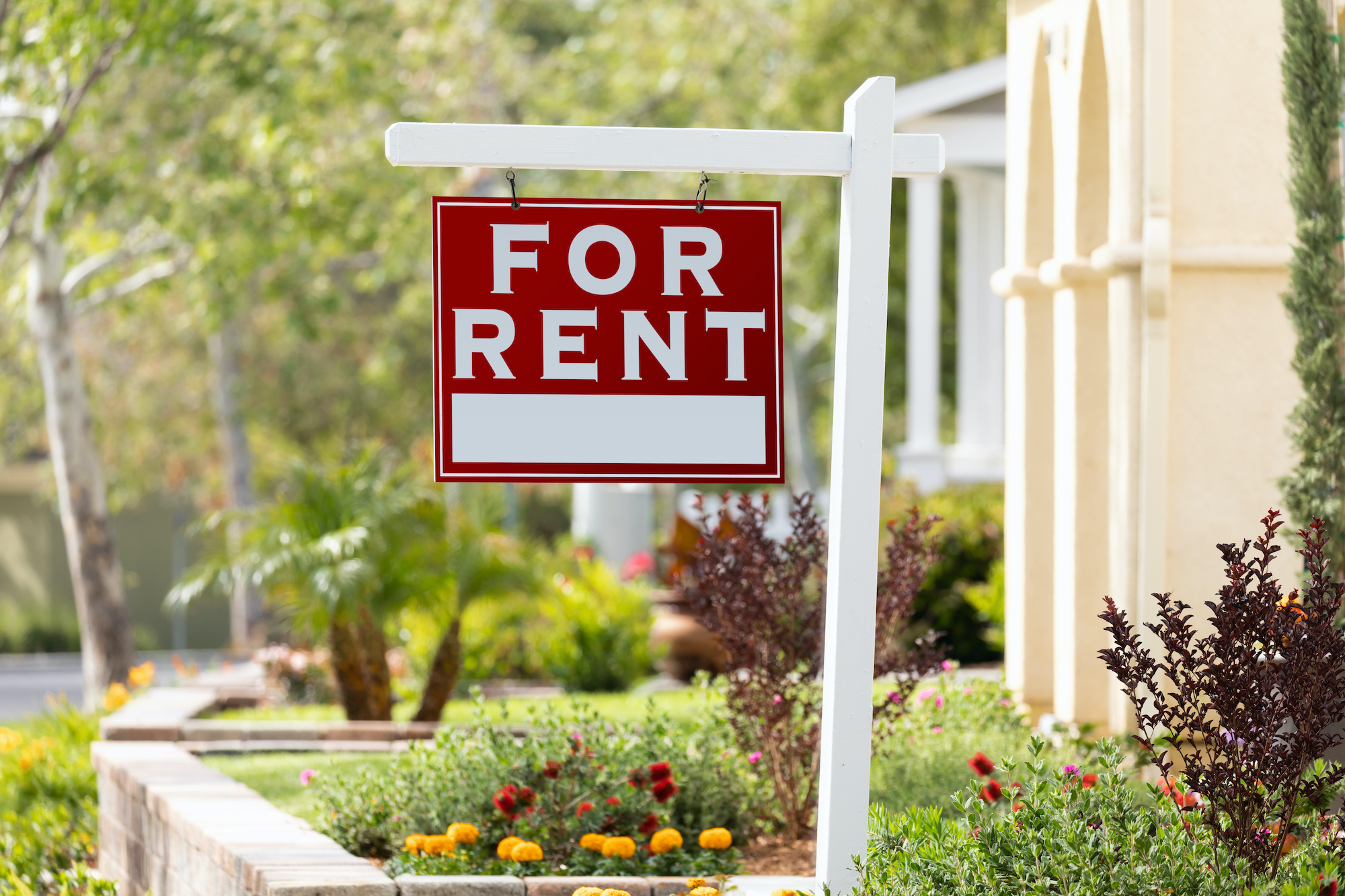 Rental Pricing Landscape
