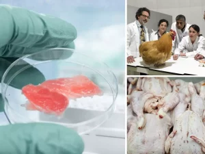 Lab-Grown Meat