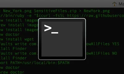 macOS Command-Line Tools, Remote Script Execution