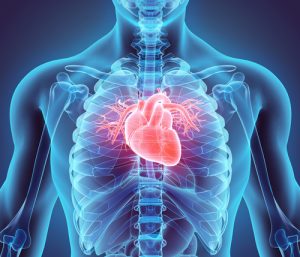 Obesity Treatment's Impact on Heart Failure