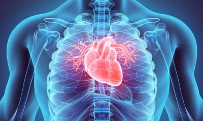 Obesity Treatment's Impact on Heart Failure