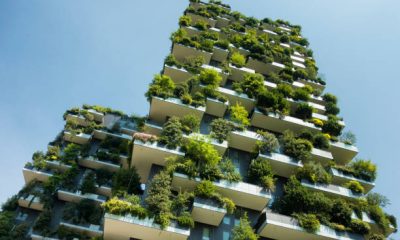 sustainable green building