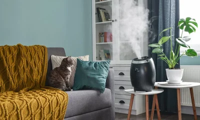 Humidify room