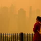 Sinus Health and Wildfire Smoke