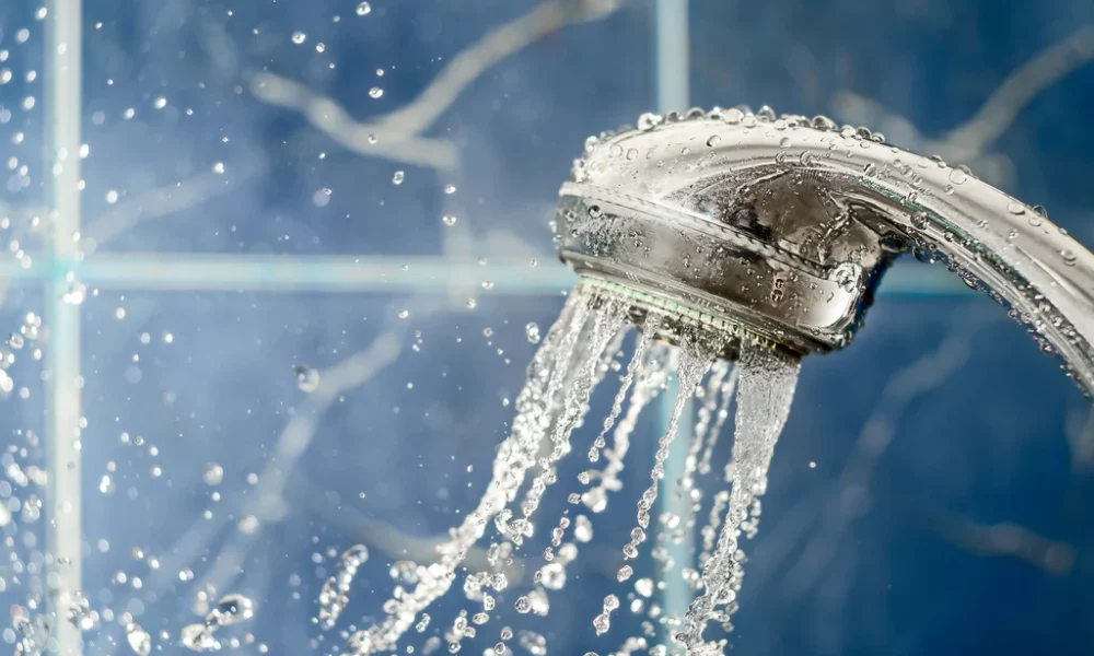 Water Filter Shower
