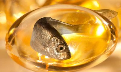 Fish Oil