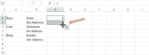 Excel Autofill