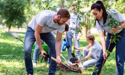 Plant Tree In Your Backyard