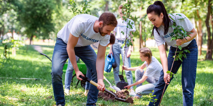 Plant Tree In Your Backyard