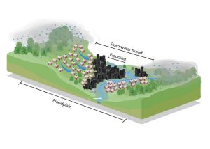 Floodplain Management