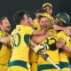 Cricket World Cup Triumph