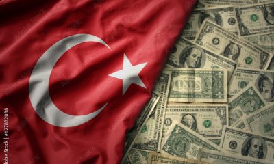 Turkey's domestic bond market