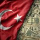 Turkey's domestic bond market