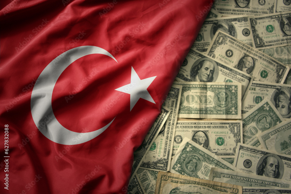 Turkey's domestic bond market