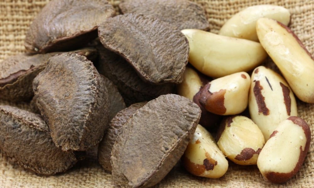 Brazil Nuts