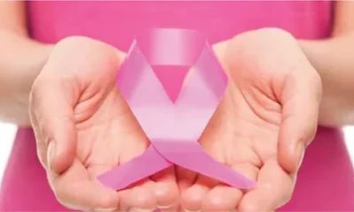 Nutritional Strategies to Ease Breast Cancer Treatment Side Effects