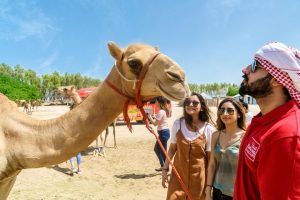 Bahrain Travel