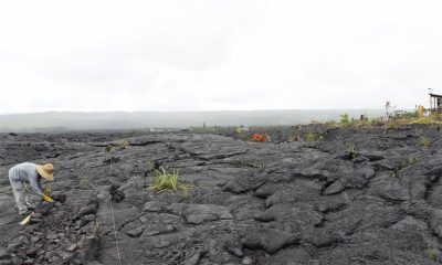 Lava