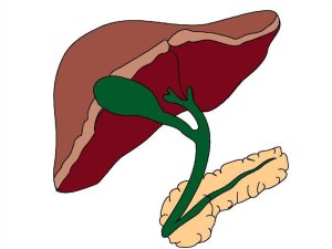  White Stool After Diarrhea