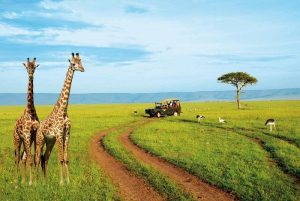 Nairobi, the bustling capital of Kenya