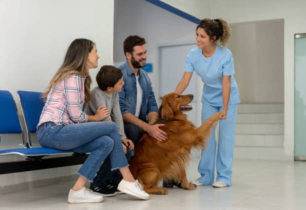 pet health insurance