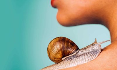 Snail Skincare