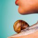 Snail Skincare