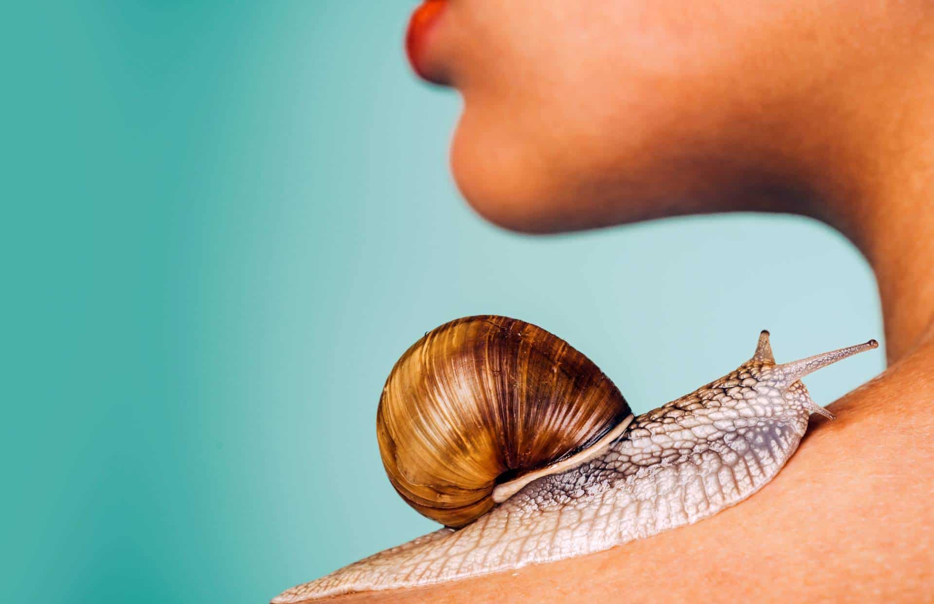 Snail Skincare