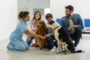 pet health insurance