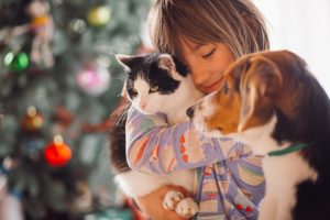 Touching Animal 